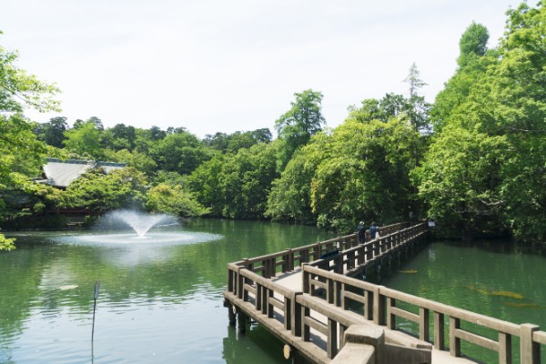 ピクニック,公園