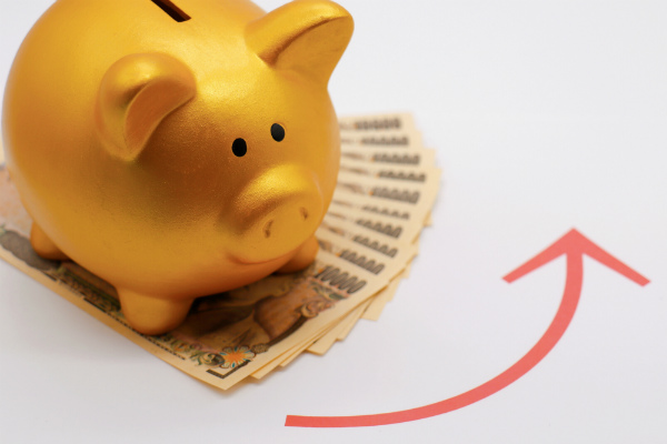 特別定額給付金,10万円,使い道