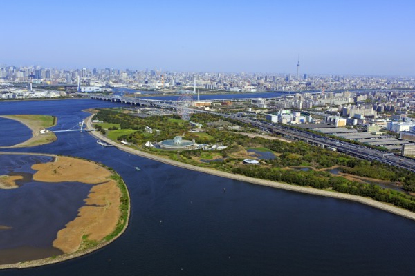 ピクニック,公園