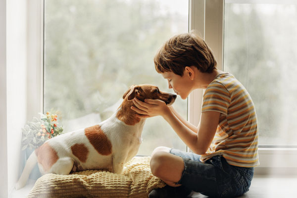 dog