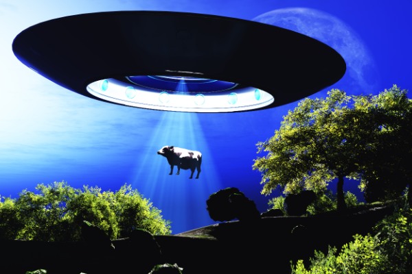 UFO, アメリカ