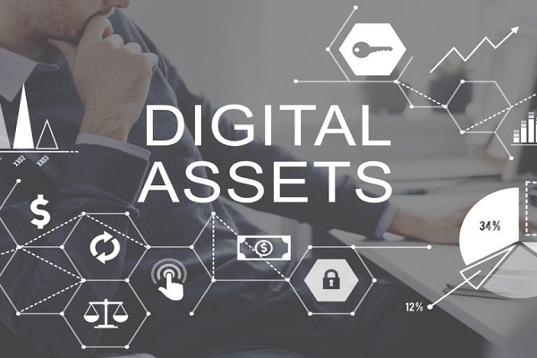 DEGITAL ASSETS