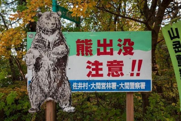 本州北端,青森県佐井村,失恋ひとり旅