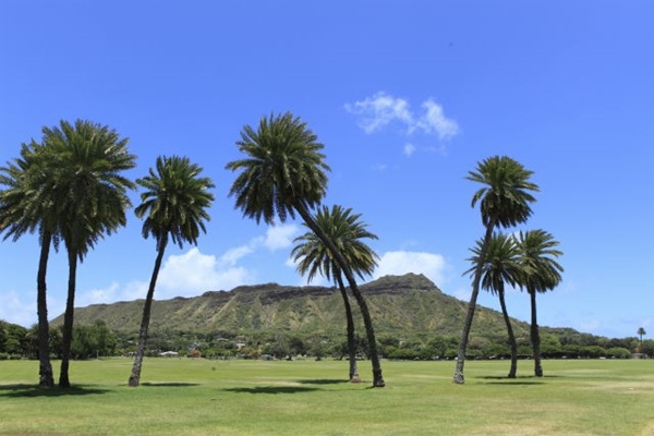ダイヤモンドヘッド,絶景,アクティビティ