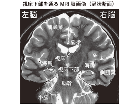脳が若返る最高の睡眠: 寝不足は認知症の最大リスク