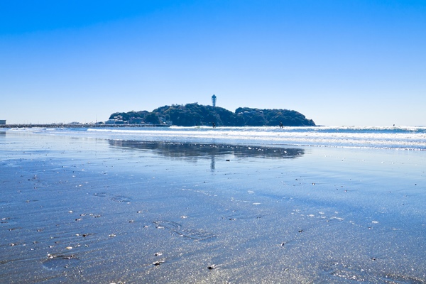 海沿いの家,湘南,高級住宅