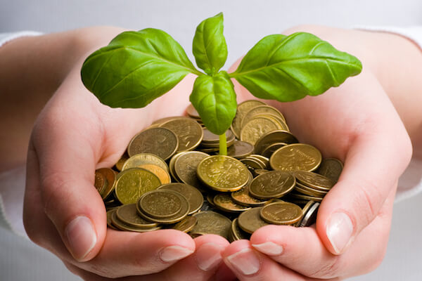 gorillaimages/Shutterstock.com,ZUU online